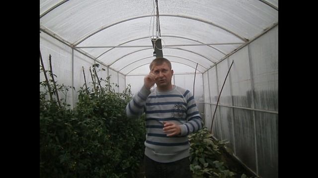 Инфракрасный обогреватель для курятника и теплицы в зимний период смотреть онлайн