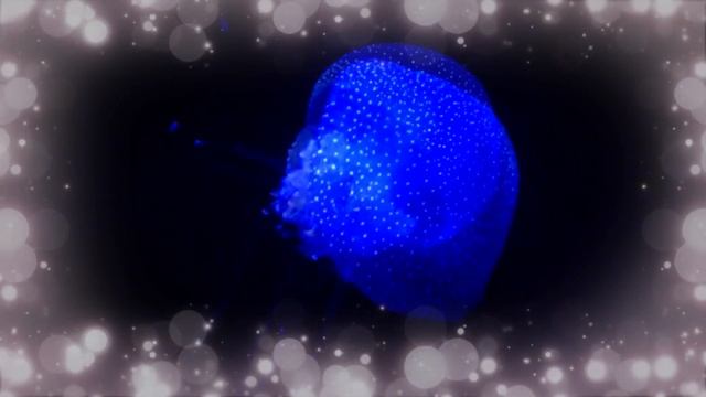Музыка для кайфа души РАССЛАБЛЯЮЩАЯ МУЗЫКА ДЛЯ ГЛУБОКОГО СНА И МЕДИТАЦИИ смотреть онлайн