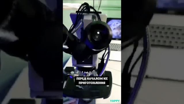 Почему нужно мыть яйца? смотреть онлайн