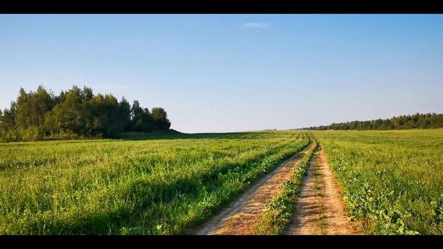 Поиск безлюдных, диких мест в окрестностях Могилева. Путешествие на эл. самокате. Это надо видеть! смотреть онлайн