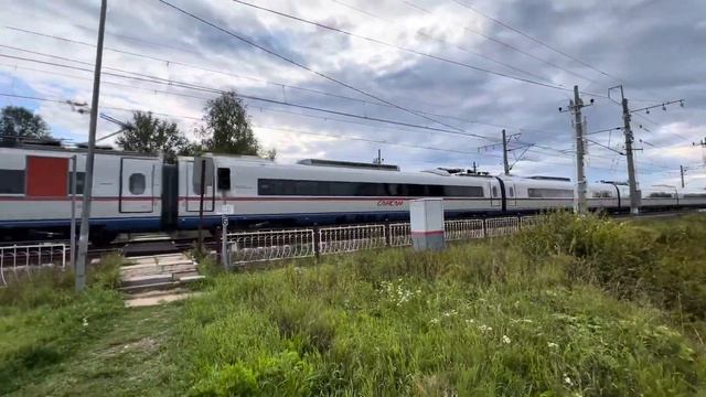 Сапсан крадется 3.5 км/ч мимо мамкиного комментатора смотреть онлайн
