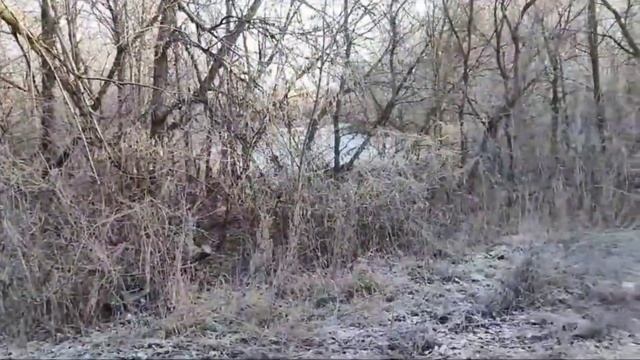 Первый выезд на лёд.#отдых #регион56 смотреть онлайн