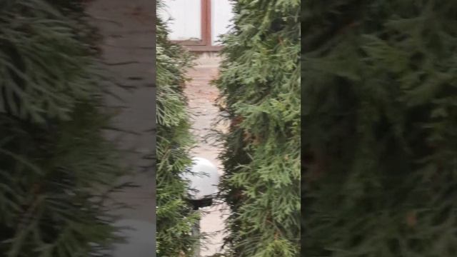 Брутал смотреть онлайн