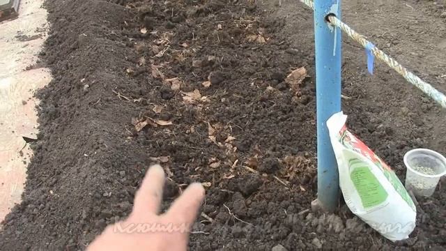 НА МАЙСКОЙ ДАЧЕ. О томатных грядках 1. смотреть онлайн