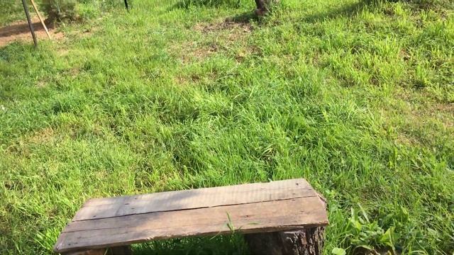 ЖЕРТВА. ДЛЯ ЧЕГО. Целитель Светлана Юрьевна смотреть онлайн