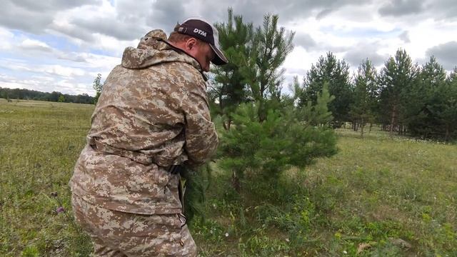 Ниваки: Секреты работы. Открываю новую главу. Объект Сосна обыкновенная Претендент. с. Зимари смотреть онлайн