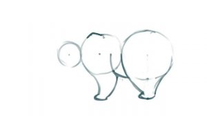 Как нарисовать белого медведя