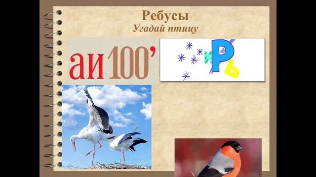 Игровые методы обучения на уроках биологии с детьми с ОВЗ смотреть онлайн