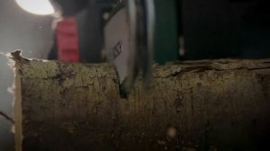 Электрическая цепная пила BOSCH UniversalChain 18