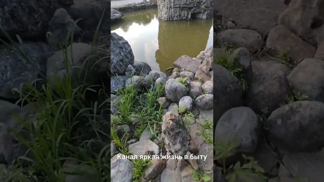 Желание есть можно прогуляться пешком, а можно все посмотреть и проехать по канатной дороге. смотреть онлайн