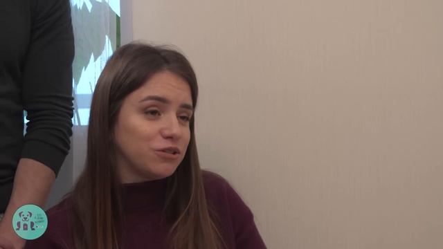 КАК ПРАВИЛЬНО ОБЩАТЬСЯ С АГРЕССИВНОЙ КОШКОЙ? смотреть онлайн