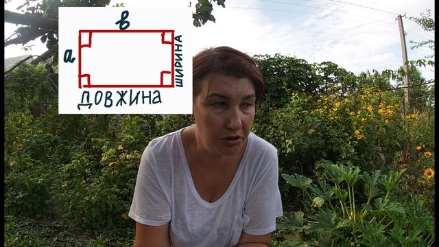 Периметр прямокутника та квадрата смотреть онлайн