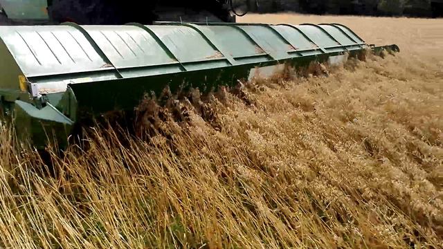 Уборка овса очесывающей жаткой УАС-7 17.07.17 смотреть онлайн