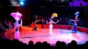 ☆Идем в Цирк-шапито «Крокус»☆ CIRCUS CROCUS ☆