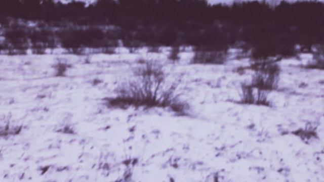 Не верьте лжепророкам Израиля , Элизабет Элишефа , Марина Гершкович и Владимир Ким смотреть онлайн
