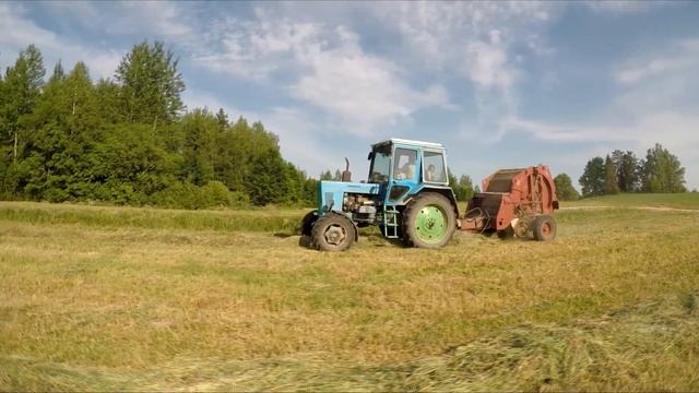 Уборка сена 2023 #мтз82  #т40 #мтз80  #животные