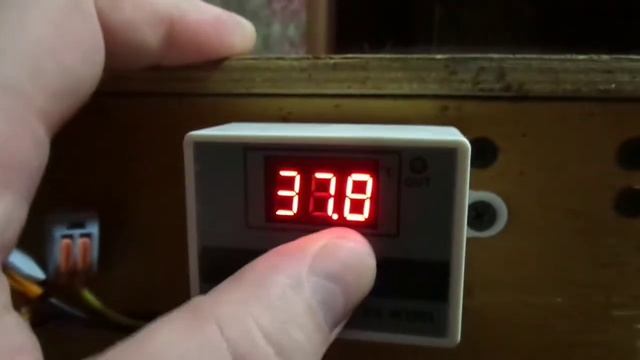 ТЕРМОРЕГУЛЯТОР ДЛЯ САМОДЕЛЬНОГО БРУДЕРА, XH W3001