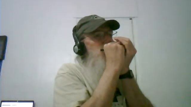 Paper Roses - Spielman&Torre (cover on harmonica by Paul). смотреть онлайн