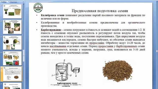 Выращивание корнеплодных овощных культур часть 1 смотреть онлайн