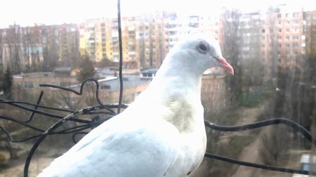 Наша МАМА смотреть онлайн