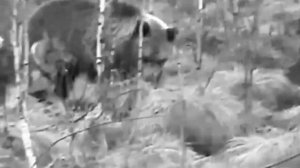 Владимир Захаров - Схватка