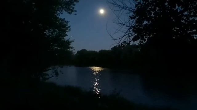 Стихи. "'Расползается' ночка звёздная...." смотреть онлайн