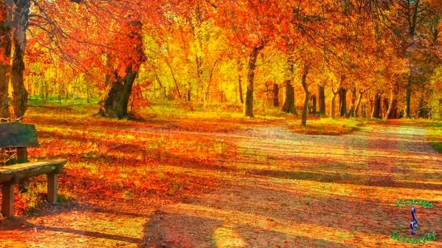 С первым днем Осени Красивое видео поздравление смотреть онлайн