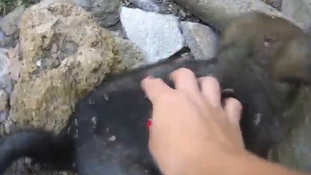 Бутузики ждут заботливые ручки!!! смотреть онлайн
