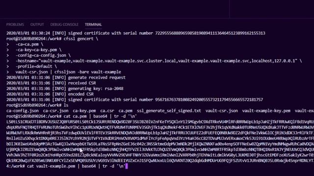 Get HashiCorp Vault running on Kubernetes with TLS for beginners смотреть онлайн