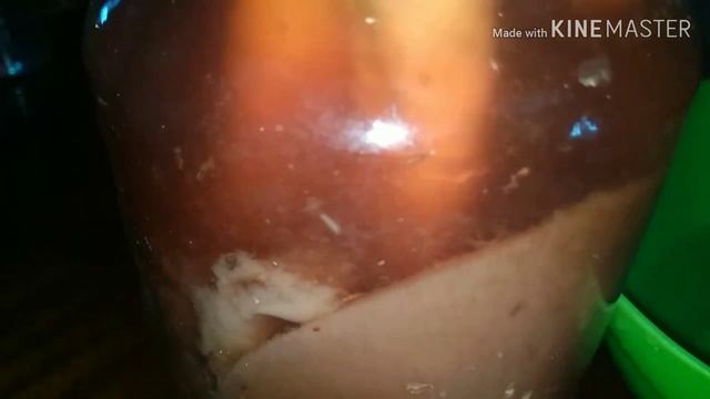 Уксусная матка. Как сделать уксус из уксусной матки смотреть онлайн