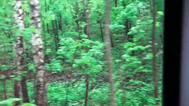 Увлекательная экскурсия * Гора - СТРЕЛЬНАЯ * Самарская лука - 2017 смотреть онлайн