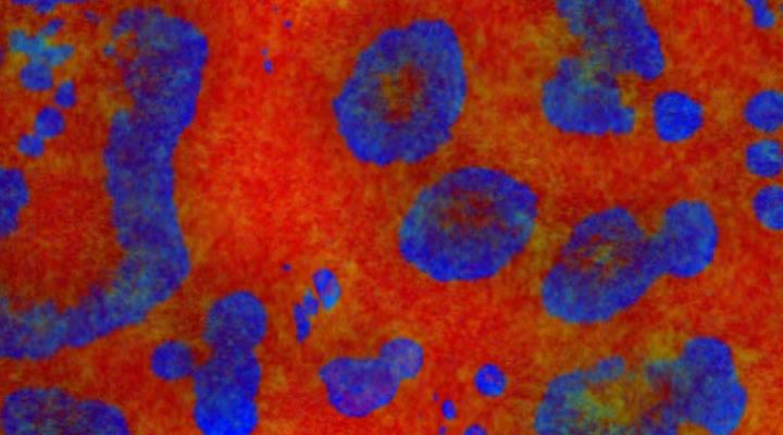 Demi Kas - The Tree (Original Mix)