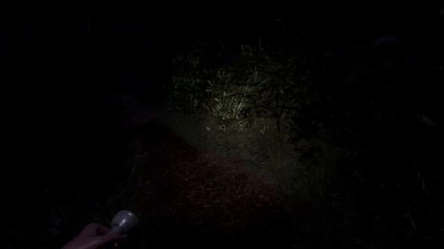 The Ritual on Weylyn Island №1 Проходим игру!)))) смотреть онлайн