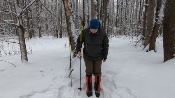 Лыжные палки для походов Fischer BCX Variolight