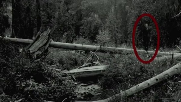 ВСЯ ПРАВДА о легенде о СЛЕНДЕРМЕНЕ