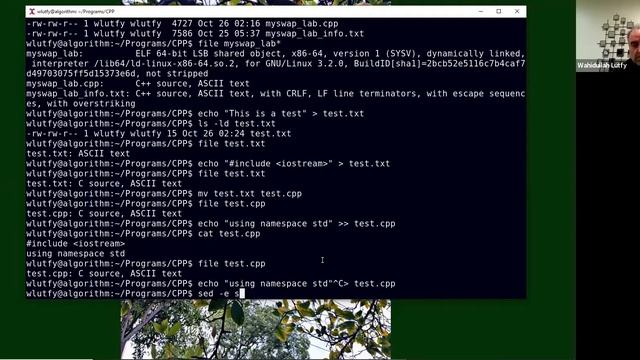 Learn C++ Programming With Examples смотреть онлайн