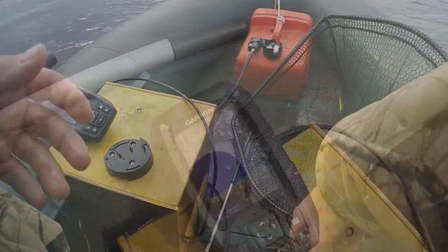 ОСЕННИЙ СУДАК НА БАЛАНСИР. ЗАЧЕТНЫЙ БЕРШ. смотреть онлайн