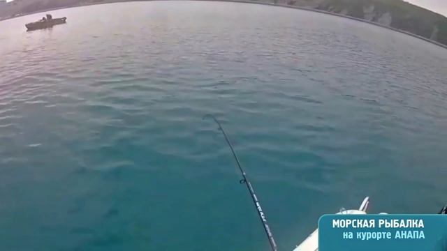 Как ловят ставридку на пустые крючки в Анапе на Черном море смотреть онлайн