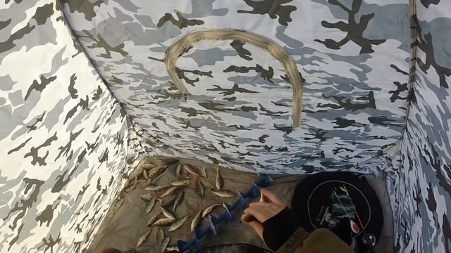 Супер рыбалка. Ловля окуня на безмотылку и балансир. Часть 1. 21 ноября 2016г. смотреть онлайн