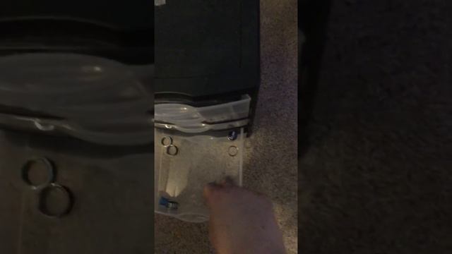 Ear stretching 7/8 смотреть онлайн