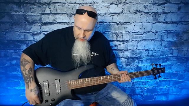 IBANEZ SR305E BASS DEMO & REVIEW смотреть онлайн