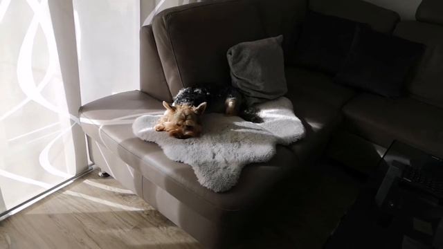 День рождения у Николь/Какой тортик испекла/Свежие новости/Влог/Германия смотреть онлайн