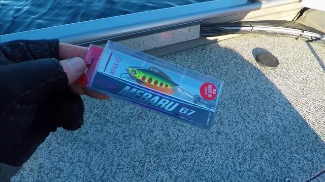 ПОПАЛИ НА ЖОР ТРОФЕЙНОГО СУДАКА ЗИМОЙ! Зимний спиннинг! Рыбалка от Михалыча! смотреть онлайн