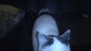 Я слушаю наше дыхание телевизионная версия