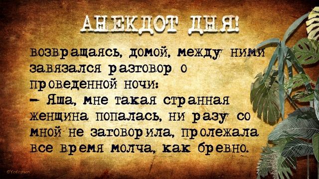 Анекдот Дня: Два старых еврея в публичном доме! Еврейский Анекдот! смотреть онлайн