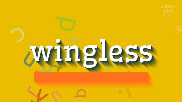WINGLESS - HOW TO SAY WINGLESS? #wingless смотреть онлайн