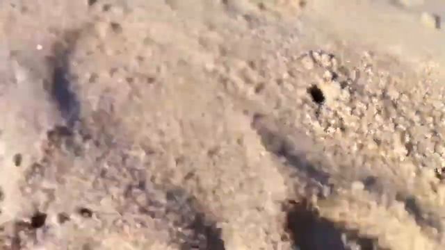 Крабики в песке смотреть онлайн