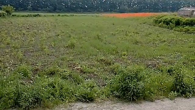 Продам участок 15соток в Клитчине г.Житомир 10000$ смотреть онлайн