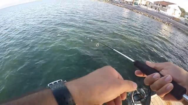 lrf zargana garfish light game toto42 смотреть онлайн