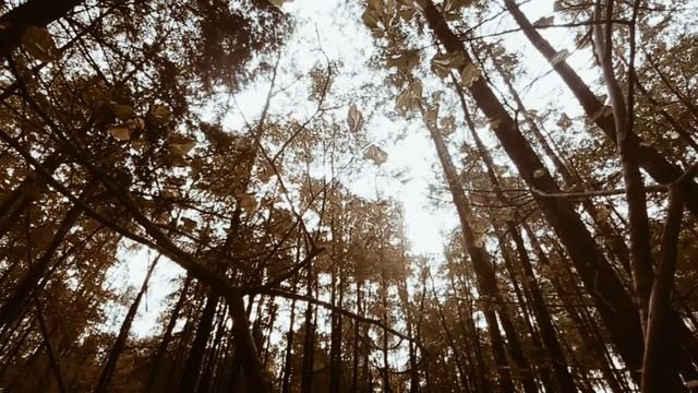 Сердце борется с этой осенью(Анна Егоян) смотреть онлайн